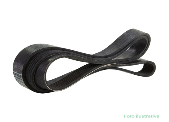 CORREIA